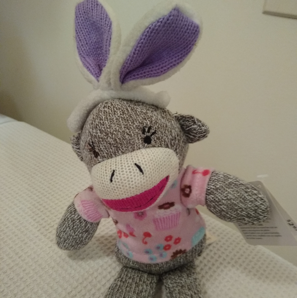 Sock Monkey